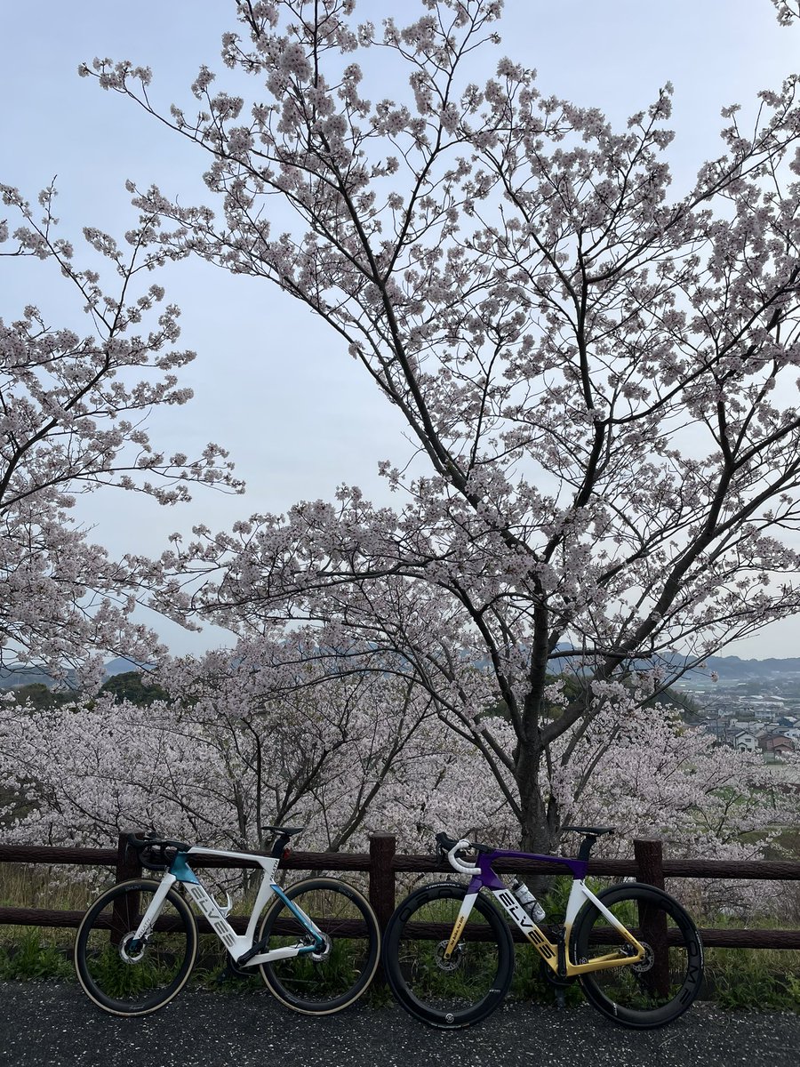fu_ji555's tweet photo. おはようございます🌞

お久しぶりのポストです✨
仕事も落ち着き、やっと乗れました🚴‍♂️

そんで…
チューブレスタイヤ卒業です😱
なかなかメンテ出来なくて…
相性悪くて…
クリンチャーに戻りました😅
タイヤもコンチに変えて…
今まで通りに✨
やっぱ自分はコンチ一択ですね👍

#elvesbike
#糸島市 https://t.co/CXsHKTb4IE