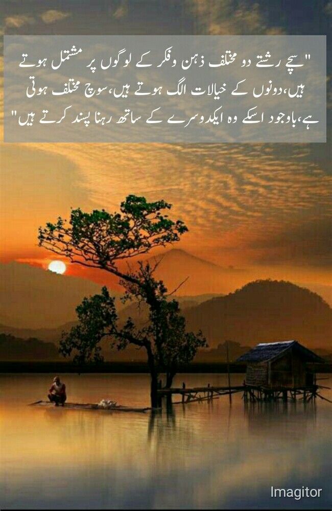 Assalam O Alaikum dear friends Good morning ♥️