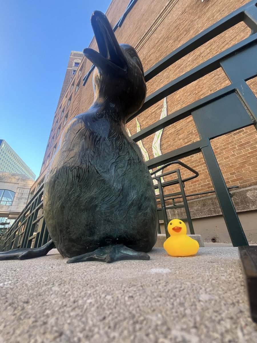 dmissp's tweet image. #teamduck still on deployment at @cyphercon. #duckarmyinvasion