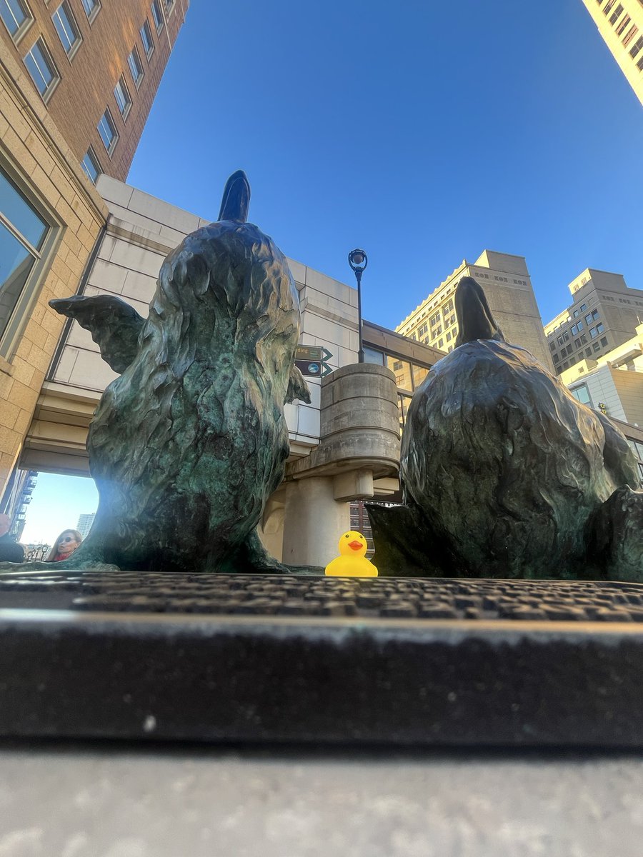 dmissp's tweet image. #teamduck still on deployment at @cyphercon. #duckarmyinvasion