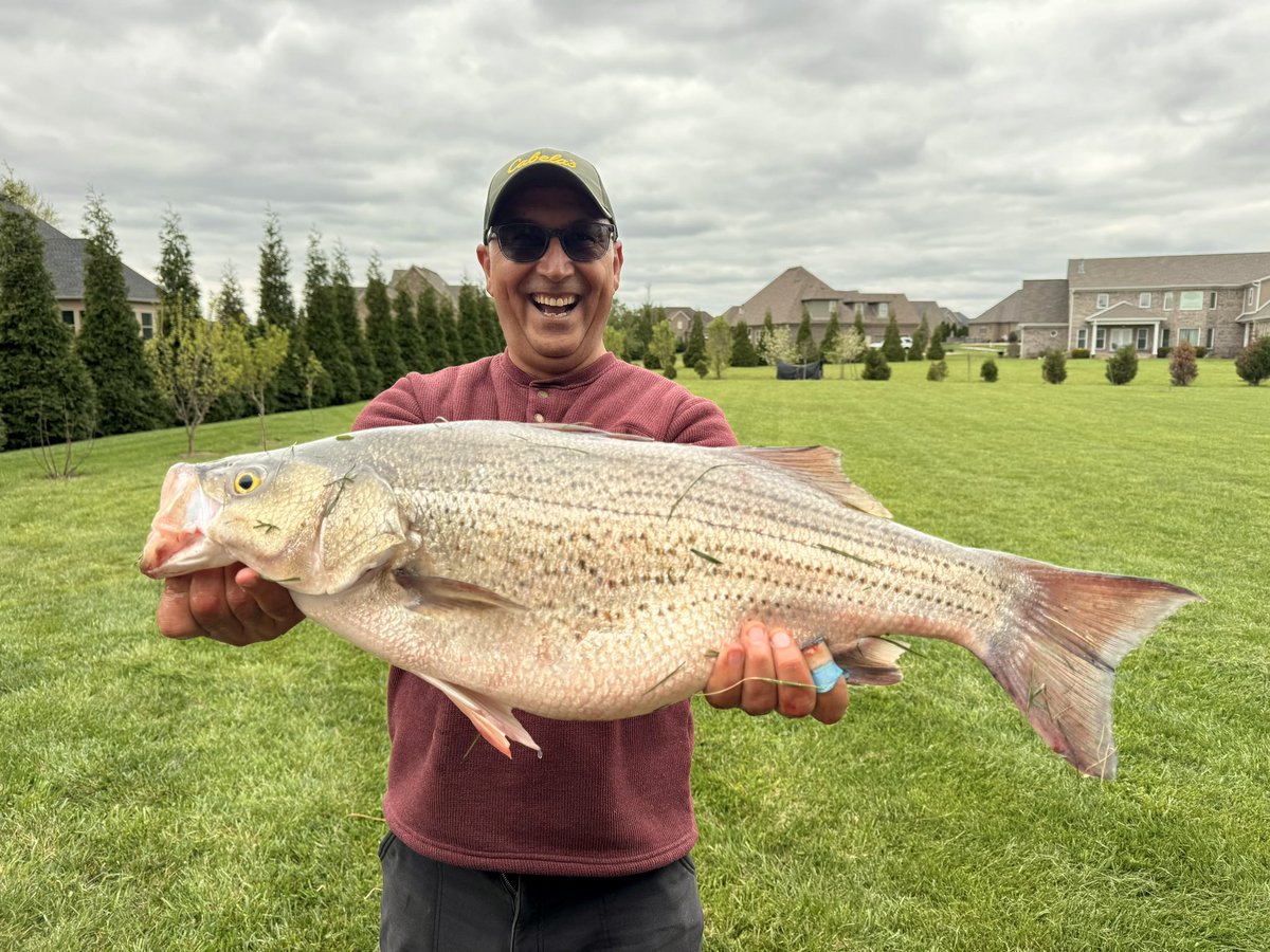 Besimky's tweet photo. Great fishing day. https://t.co/BqMLdlhpRm