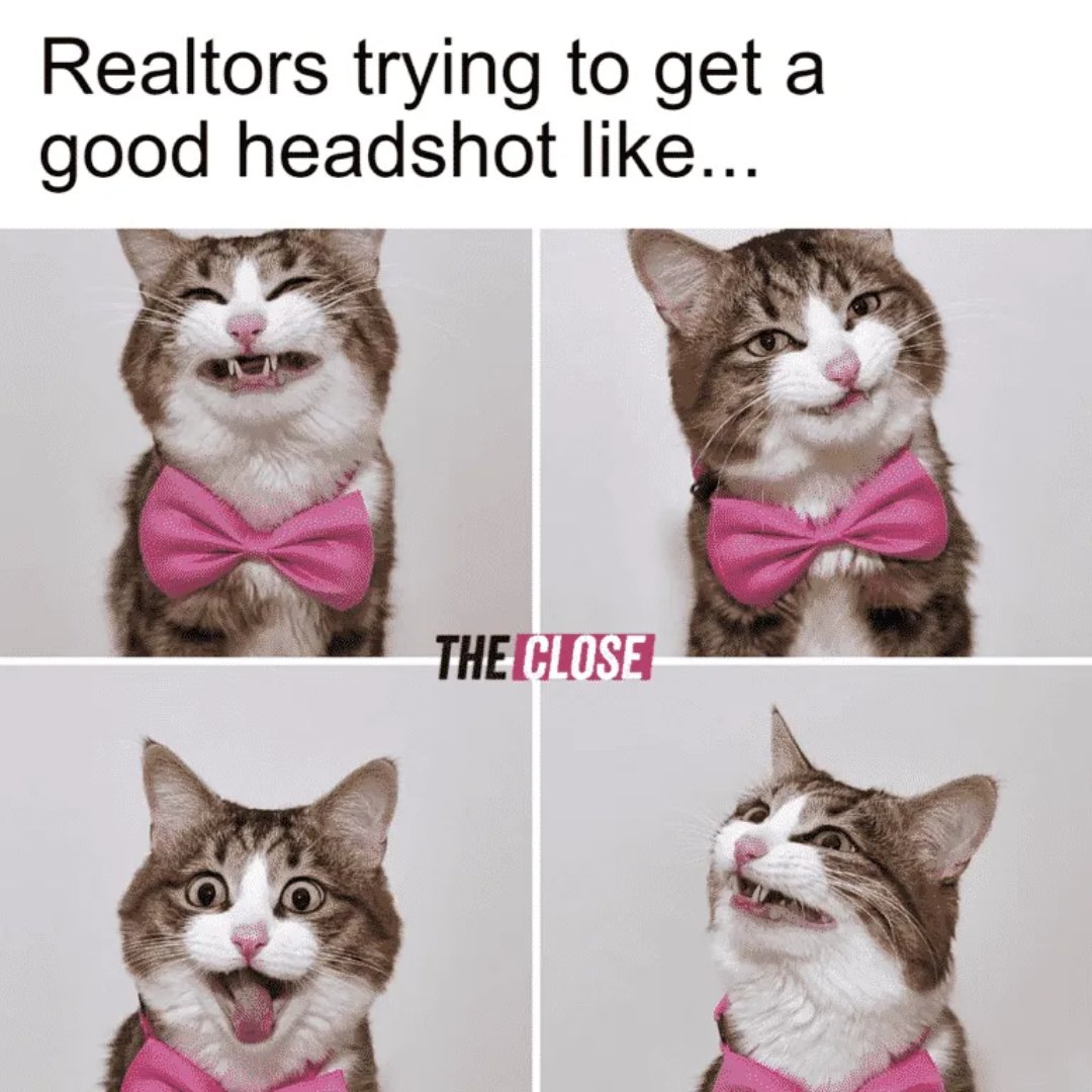 🏡🤣 Ready to make you laugh and find your dream home all at once! 🤩🔑 #RealEstateLaughs #HomeSweetFunnyHome #MemeMasterRealtor