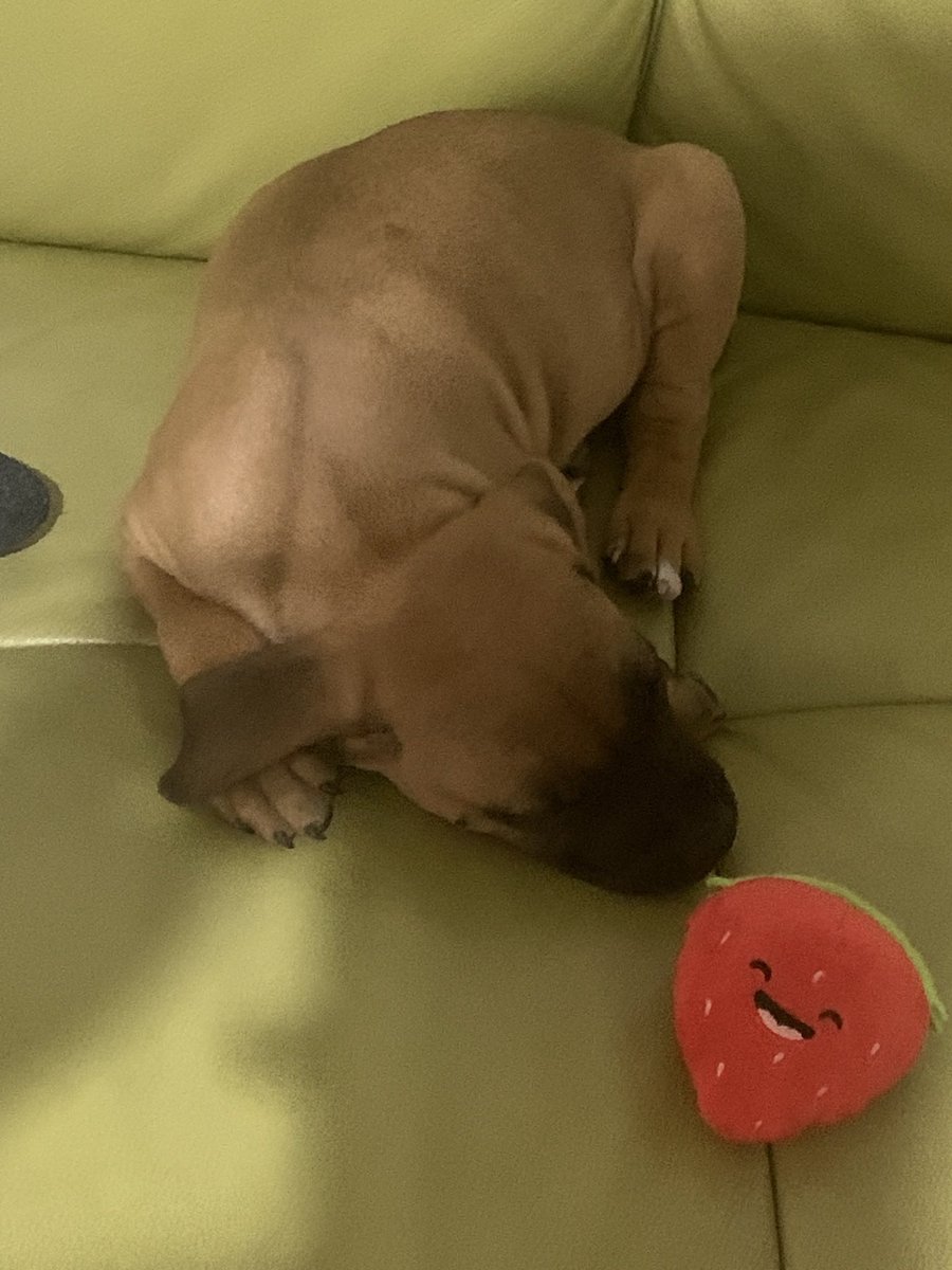 Sαlsα⇒ #HytaleSaved tweet media