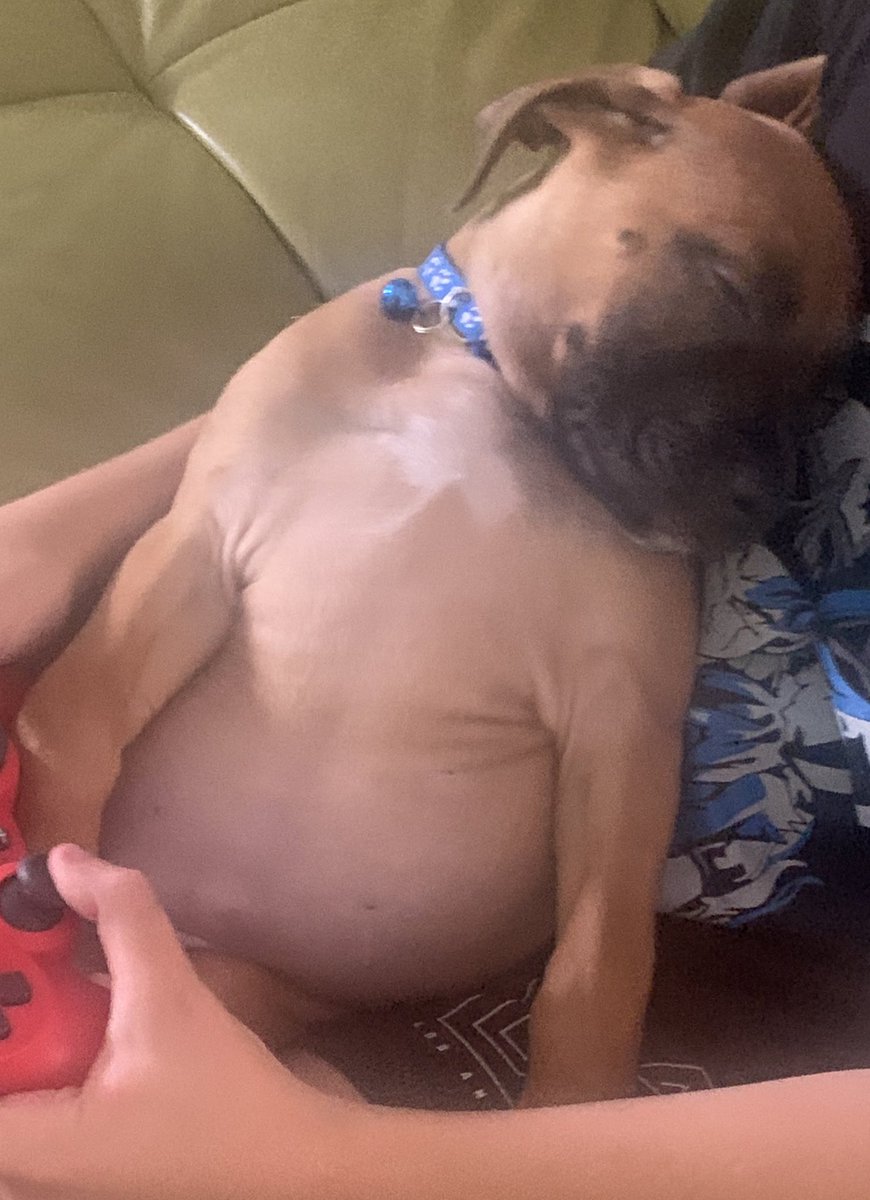 Sαlsα⇒ #HytaleSaved tweet media