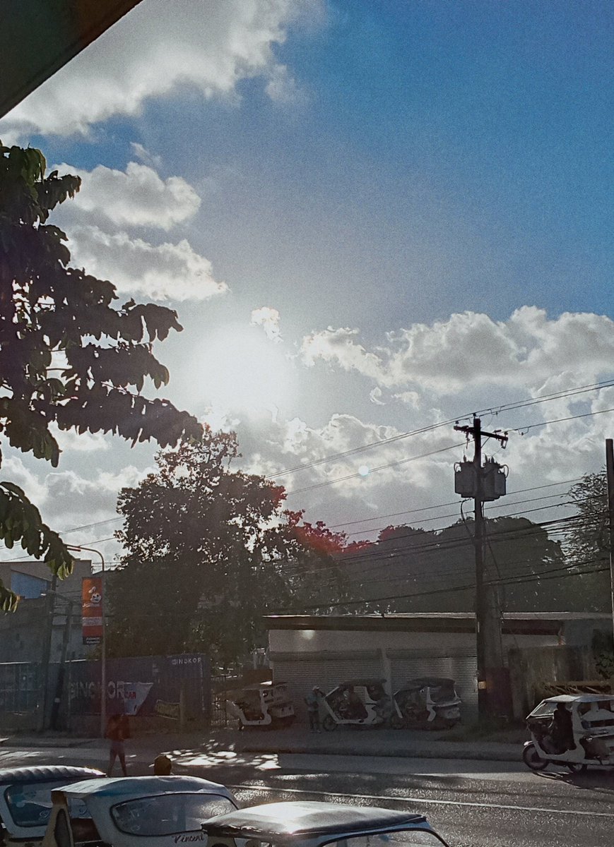 bleubaerie's tweet photo. ☁️ 🌴 https://t.co/qVYNbaiMMk