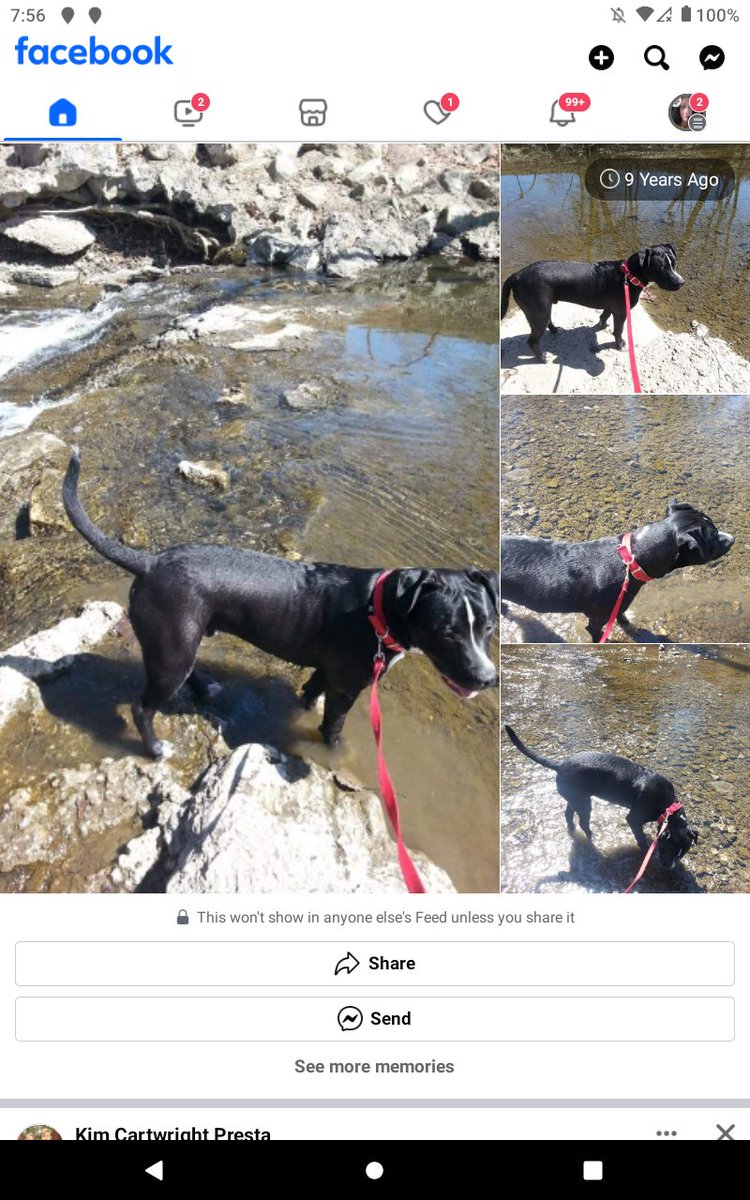 Blaze was still a baby, only 6 months old. I miss him so much 💔