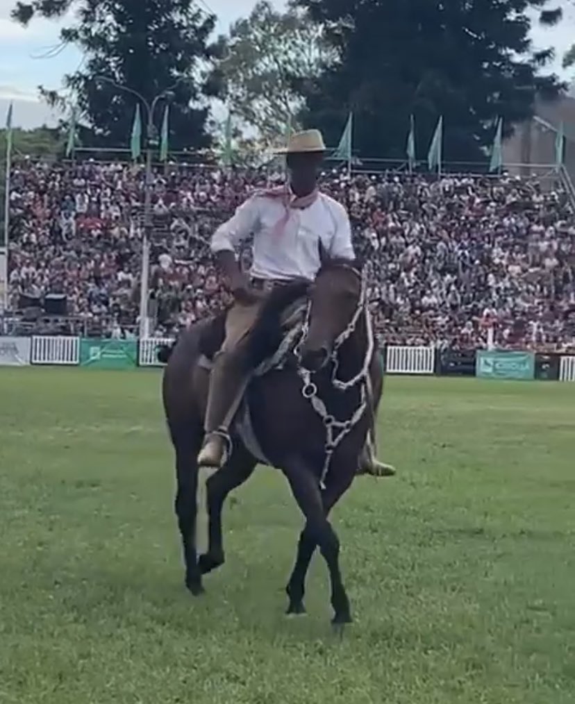 Mili_Herrera_H's tweet photo. Para mi… Dios de acaballo. Julio Diaz.
Mañana en #Abrazopaís x @610Rural conocemos su historia https://t.co/4R8OFcPKxM