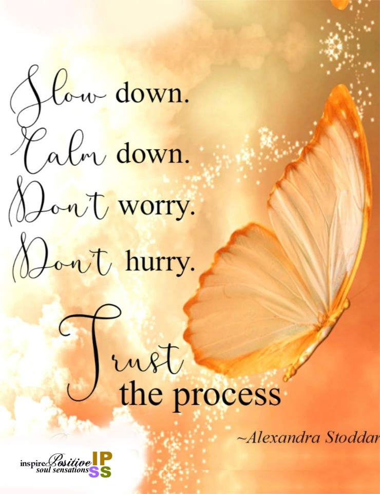 Slow down. Calm down. Don't worry. Don't hurry. ~ Trust the process! - Alexandra Stoddard