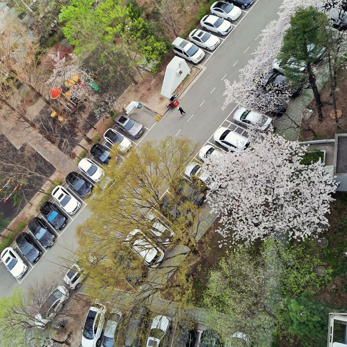 春は、希望の別名みたいだ。봄은, 희망의 또 다른 이름같다.