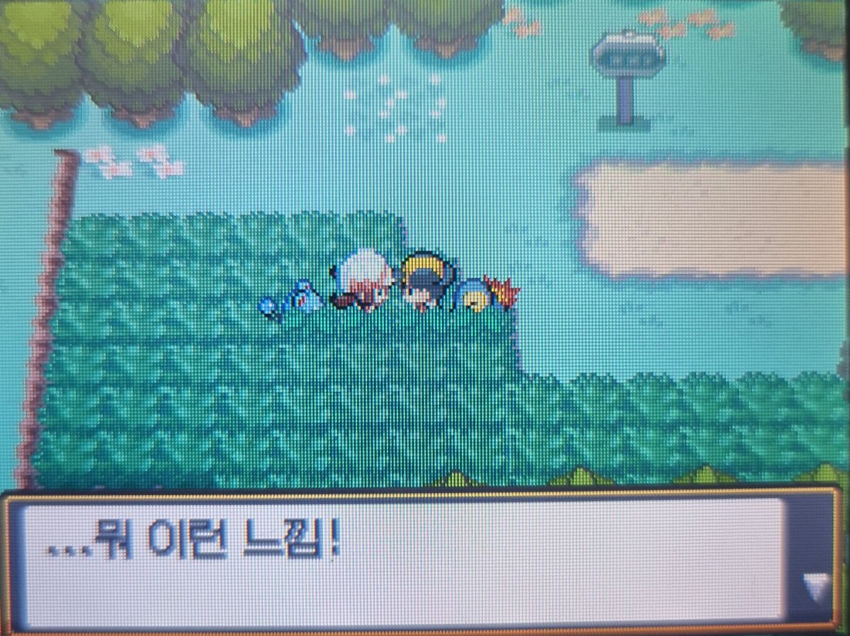 이게너무너무 좋음.....
처음에는 포켓몬 배틀을 알려줘야 할 정도로 초보트레이너였는데 시간이 지나서 전설의포켓몬에게 인정받고 성도 챔피언까지되서 다시 연두마을에 돌아온 주인공을 보면서 무슨생각 들었을까,....