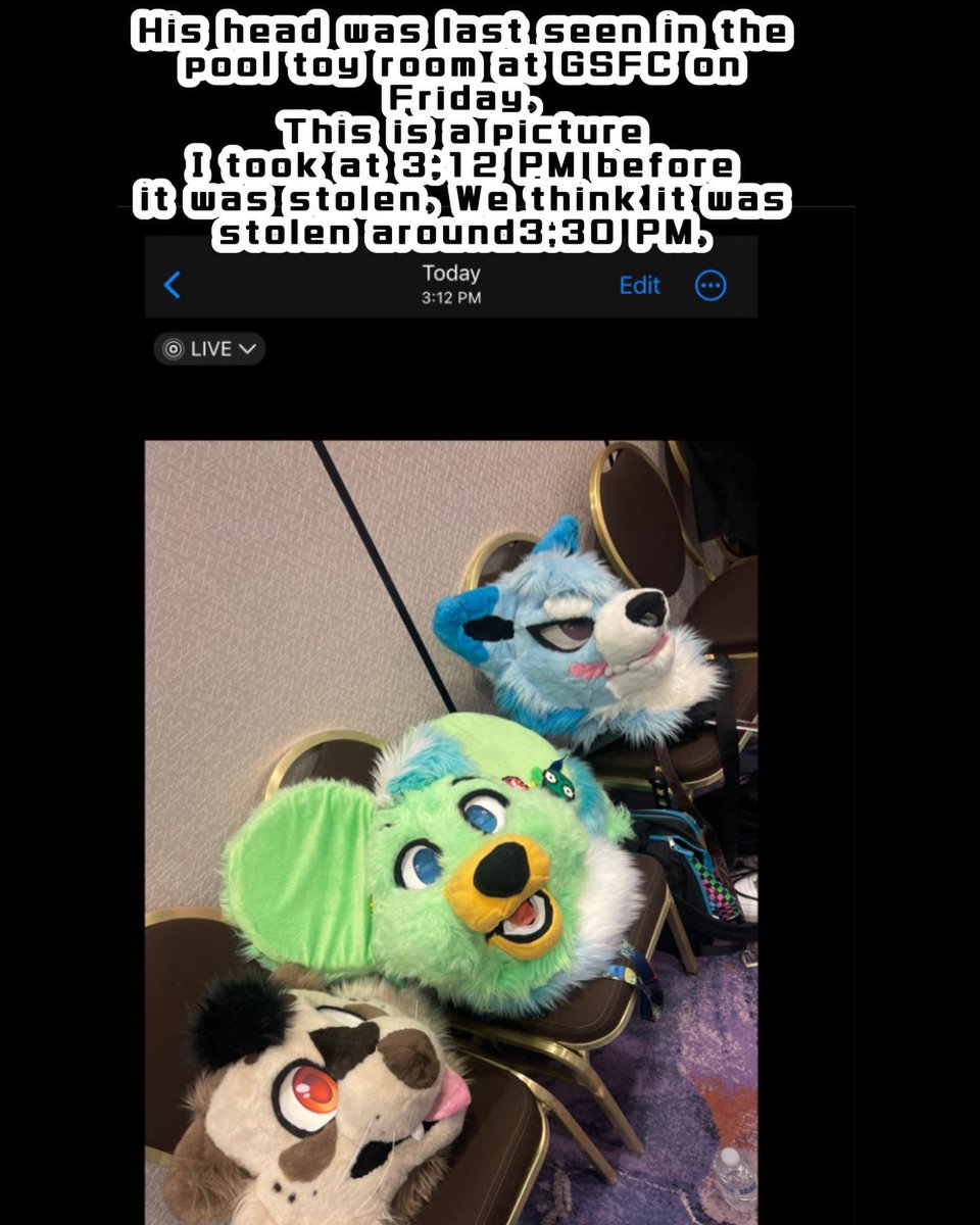 ‼️STOLEN FURSUIT HEAD‼️
He was stolen at #goldenstatefurcon . If you have any information contact @Ottotter_