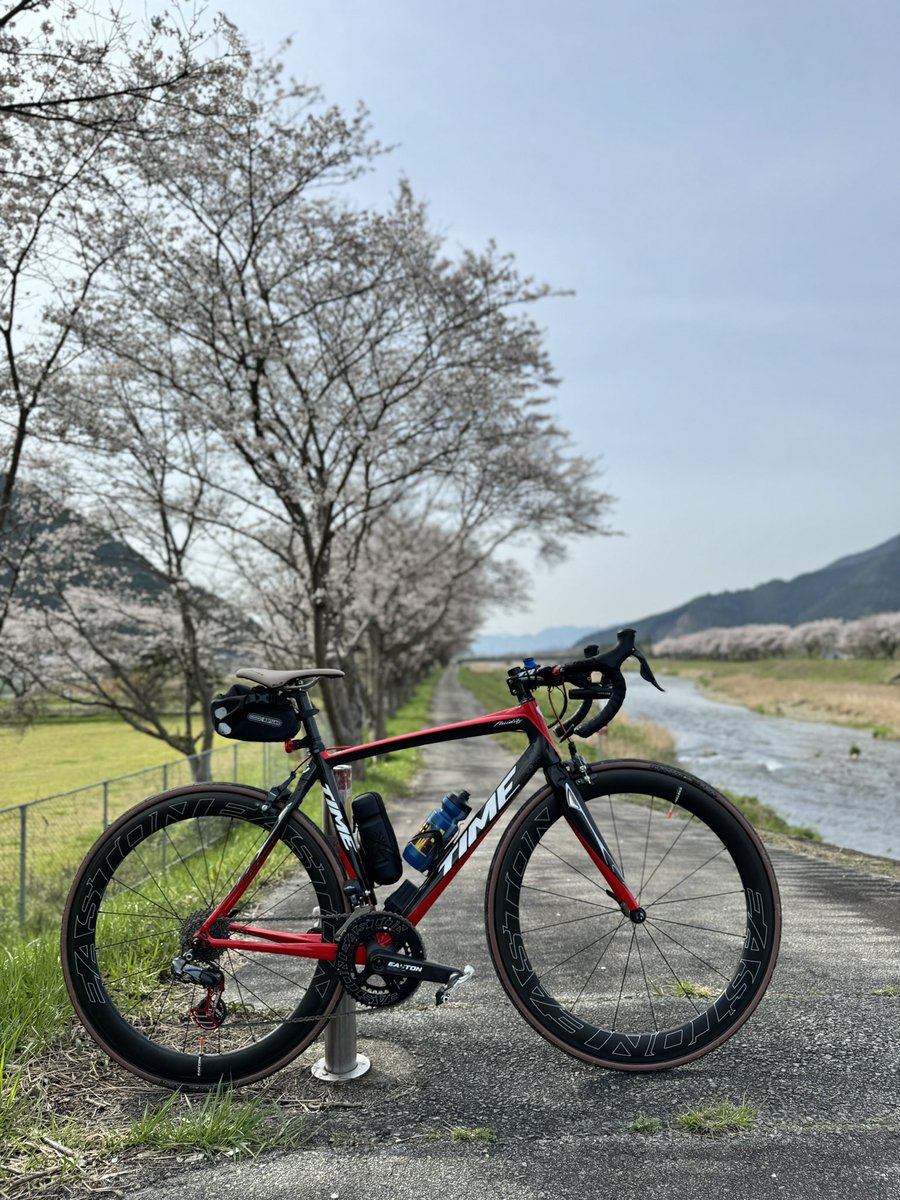 HIRO32CC's tweet photo. 丹波市氷上の桜並木にやってきました。
今日明日が最高ですね。
数キロ続く桜並木は圧巻です。
#timebike https://t.co/gvARFcl3l4