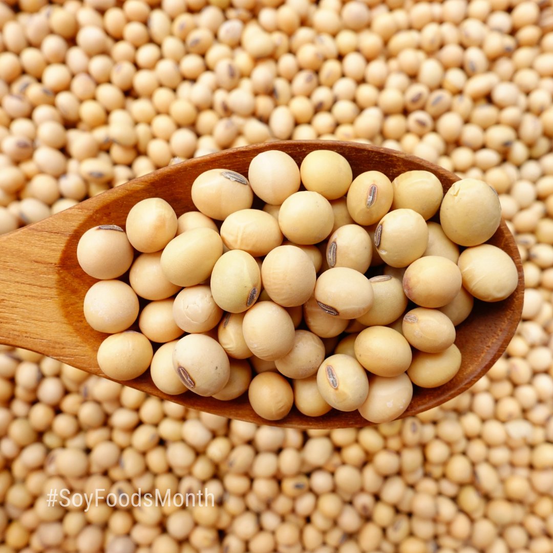 Did you know soybeans are a nutritional powerhouse? Bursting with protein, fiber, and essential vitamins and minerals, soybeans are a versatile ingredient perfect for every meal. 🌿💪 

#USSoy #SoyConnection #soybeans #soyfoodsmonth