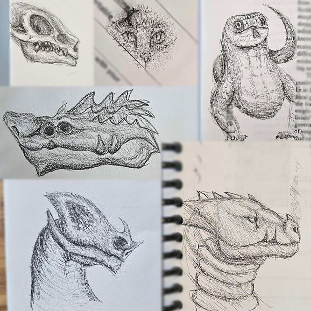 Some mini sketches I did in my notes.

#mechanicalpencil
#pencildrawing
#pencilsketch
#sketch
#sketchart
#sketchbook
#sketchdoodle
#sketchdrawing
#sketchdump
#arttraditional
#creature
#creaturedesign
#creatures
#dragon
#dragonart
#lizard
#creaturemonster