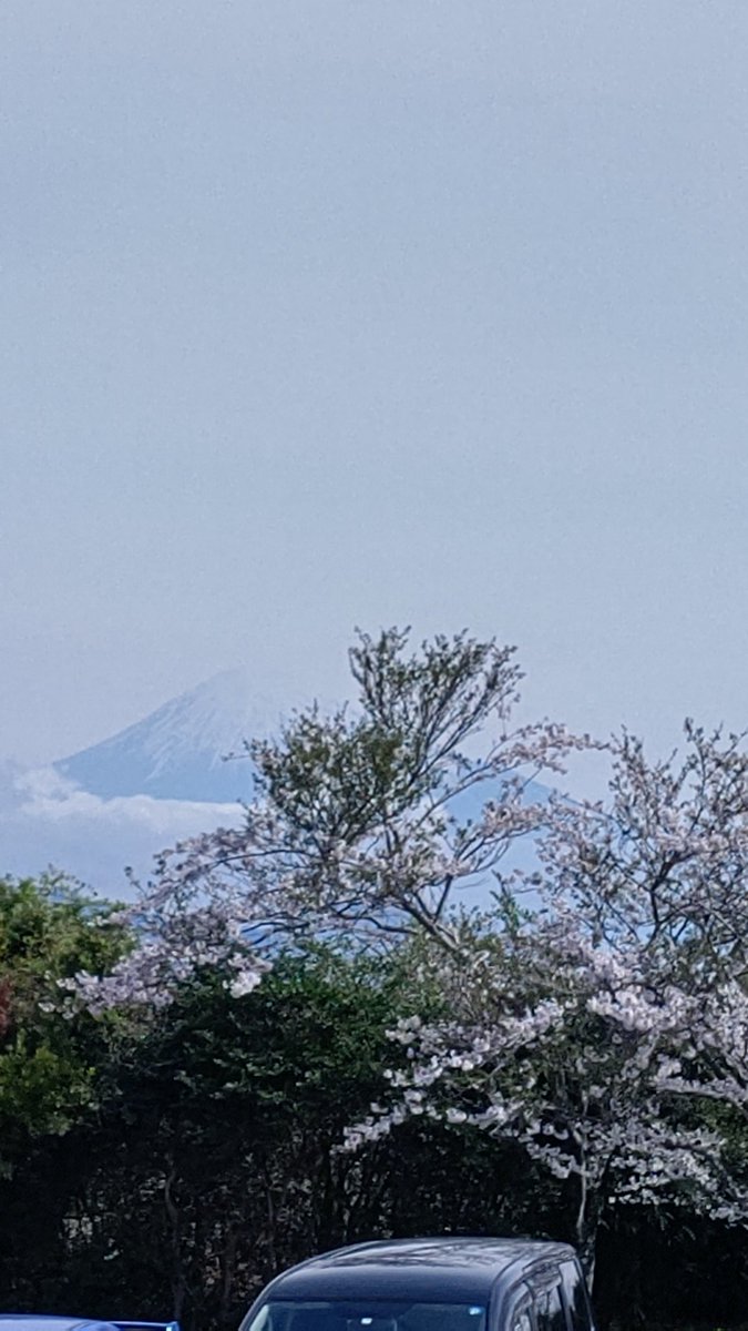 日本平到着〜
桜🌸と富士山🗻が見れて満足満足✨