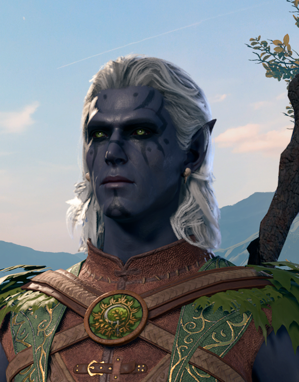 StellarCttntail's tweet photo. @JustJaxper Part two! 
Caomhan, the sassy Dragonborn bard with a bit of tough outer shell, but a tender heart for those who earn it 
Alderyn, the Seldarine Drow druid durge. Out of place and out of his element. https://t.co/5ykkm5keca