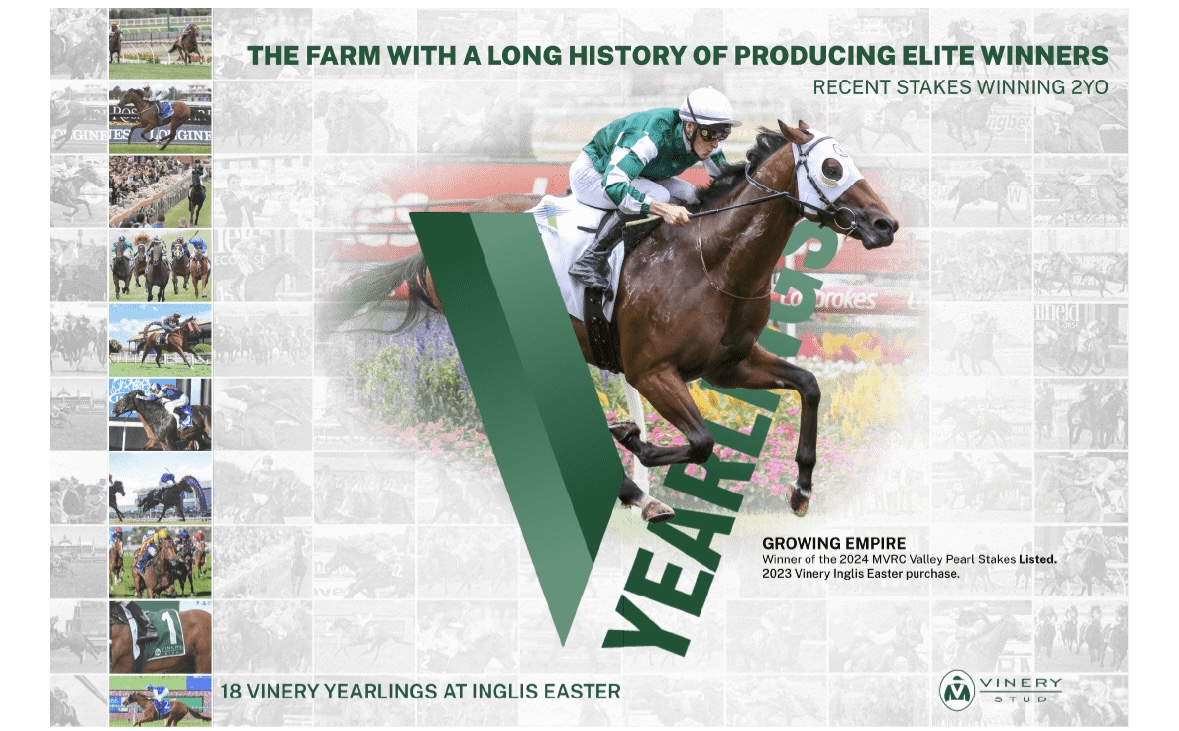 THE FARM WITH A LONG HISTORY OF PRODUCING ELITE WINNERS 😍 @VineryStud