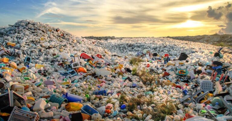 Debunking Plastic Myths: Can We Truly Live Plastic-Free? ♻️

A thread 🧵
 #PlasticFreeLiving #Sustainability #ecorenew #safeandgreen