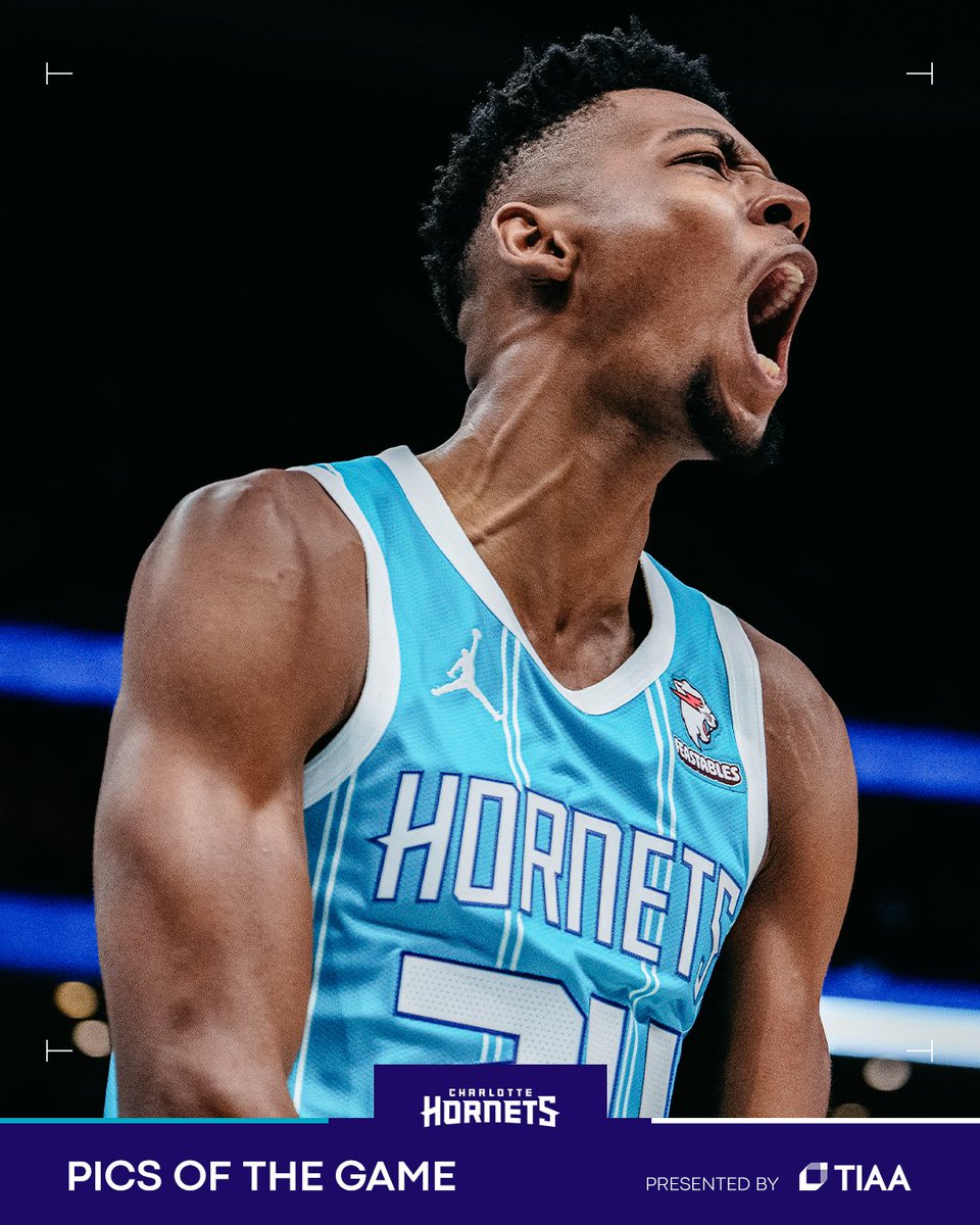 hornets tweet picture