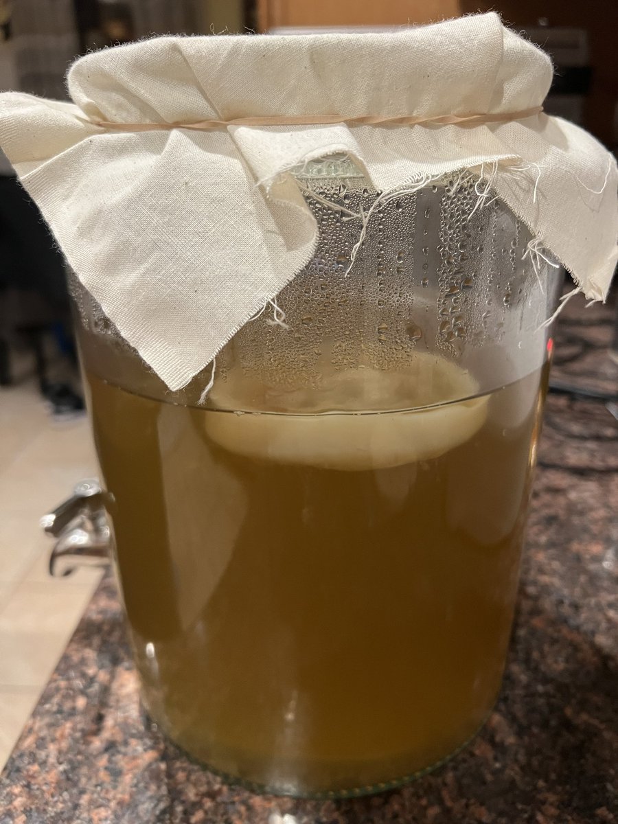 NoBuzzJoe's tweet image. Back on booch brewing. 

Starting a Yerba Mate culture.

The other one is my coffee booch from 2020 when the pandemic shut down my chance to move into a commercial kitchen. Frozen for almost 4 years and restarted. Tastes great but it’s struggling to get fizzy. 

#kombucha