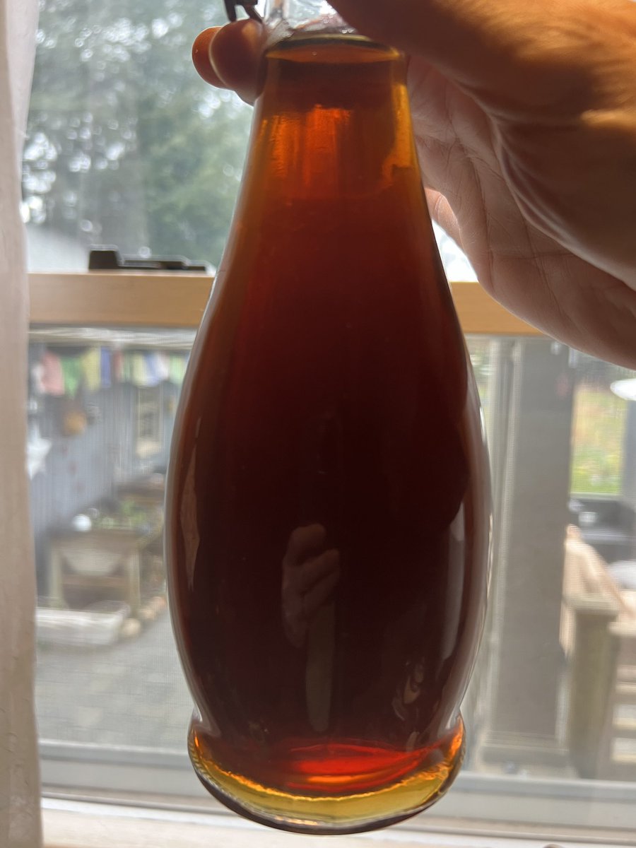 NoBuzzJoe's tweet image. Back on booch brewing. 

Starting a Yerba Mate culture.

The other one is my coffee booch from 2020 when the pandemic shut down my chance to move into a commercial kitchen. Frozen for almost 4 years and restarted. Tastes great but it’s struggling to get fizzy. 

#kombucha