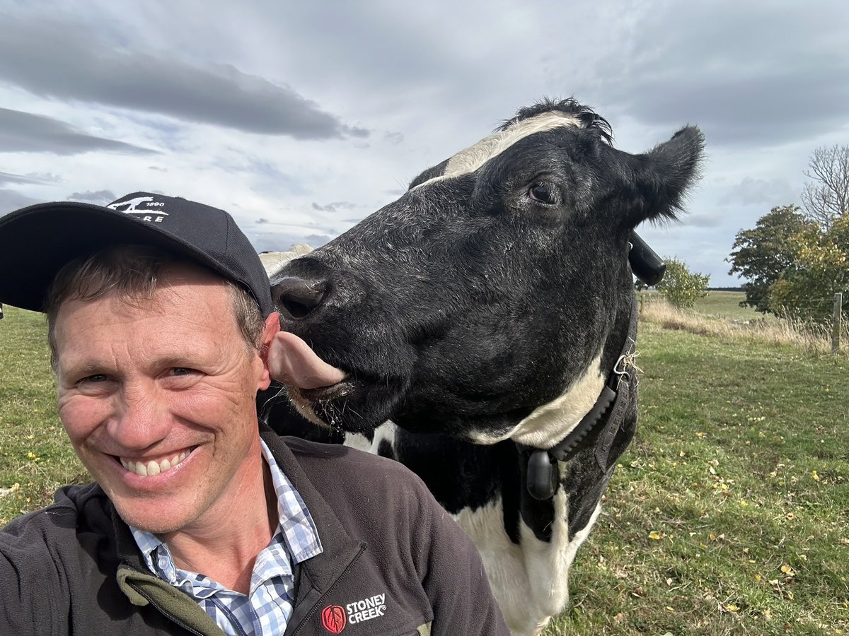 Mathew Hocken tweet media