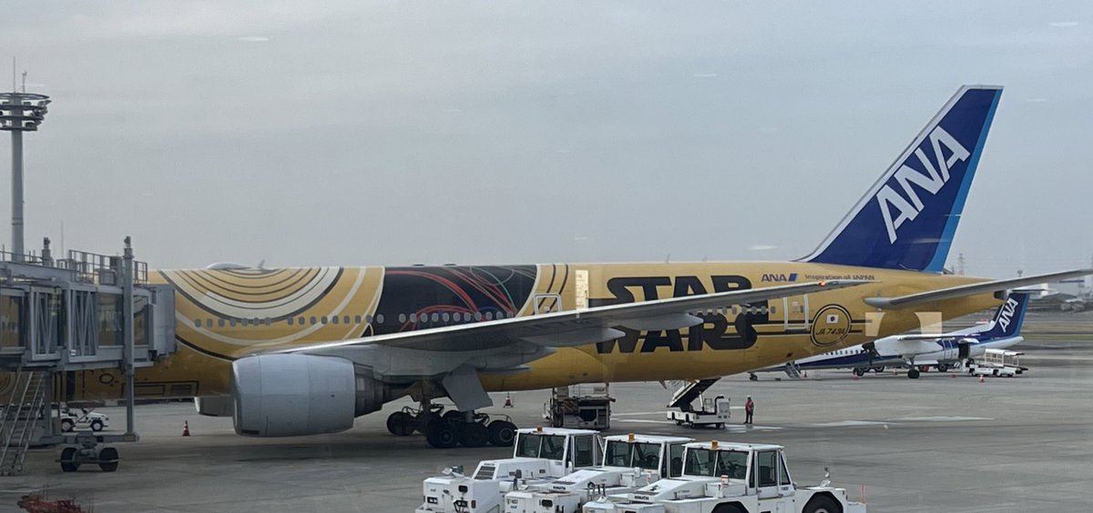flyawaytothesky's tweet photo. 今朝はスターウォーズジェット✈️

初めて乗ったけど、機内アナウンスにC3POが登場してテンション上がってます✨

#ANA https://t.co/4EBoywyedz