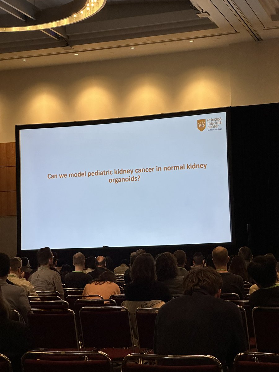 Joanna C Lima (@joannaclima) on Twitter photo #AACR24 great talk about organoids in kidney cancer #AACR24 great talk about organoids in kidney cancer