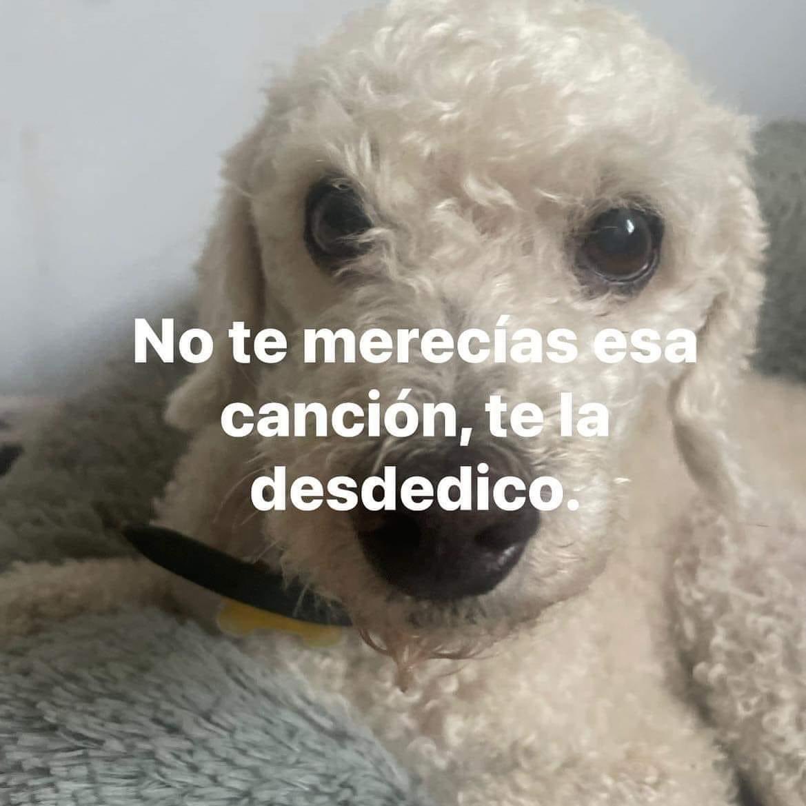 taylor swift en estos momentos con la mitad de su discografía para cierto ingles
