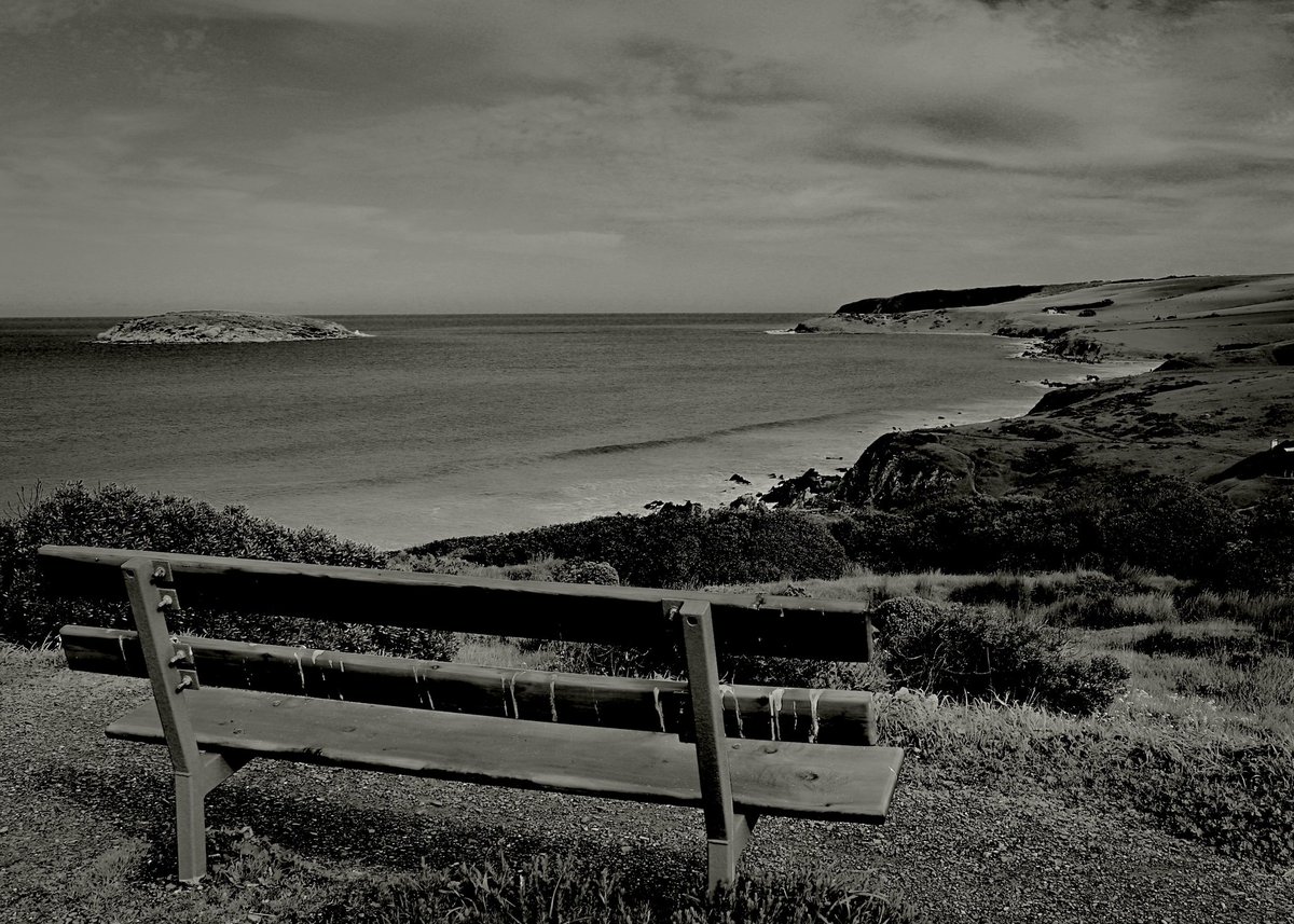 csdock's tweet image. A peaceful pause