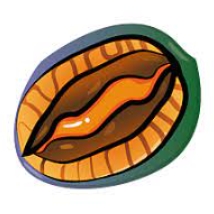 PauaMeme's tweet photo. It's free, free $PAUA! Free airdrop Hurry up and repost + like + follow, and leave your base address! Time limit is 1 days! https://t.co/qSFes7KWpC