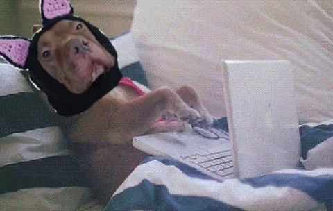 SecretlyACat0x's tweet photo. leeeeb me alone! Im cookin can't you see 👀 https://t.co/DhYFM64llE