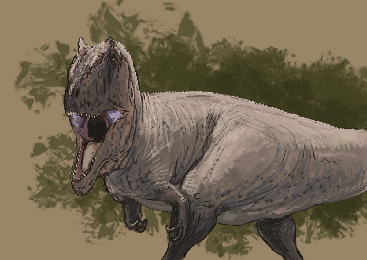 Results from the Flocking #paleostream! Altispinax, Thyreosaurus, Ornithoprion and Mapusaurus.