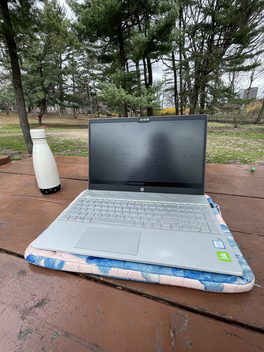 Piemiņa no aprīļa dienas, kad devos strādāt ārā, lai izvairītos no krītošiem objektiem savā simtgadīgajā namiņā, bet parka ofisā bija +8 grādi un ledains vējš. ✨NYC✨