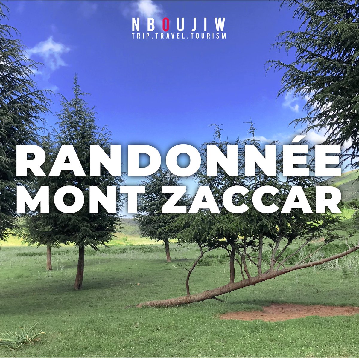 nboujiw's tweet photo. Le mont Zaccar avec 1 550 mètres d'altitude, est le point culminant de la Dahra en Algérie. Il est situé au nord de Miliana, la légende raconte que c'est le fer du Mont Zaccar qui a servi à la construction de la Tour Eiffel.

DATE : samedi 13 avril 2024 https://t.co/XdXeMi8SaA