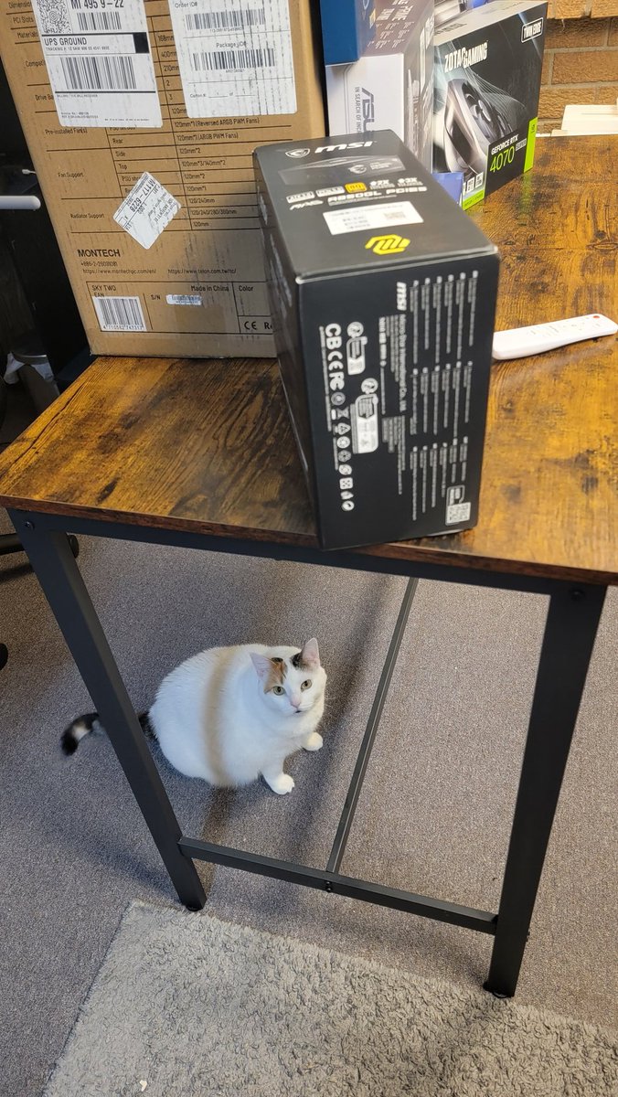 Cat under da table! Helping film