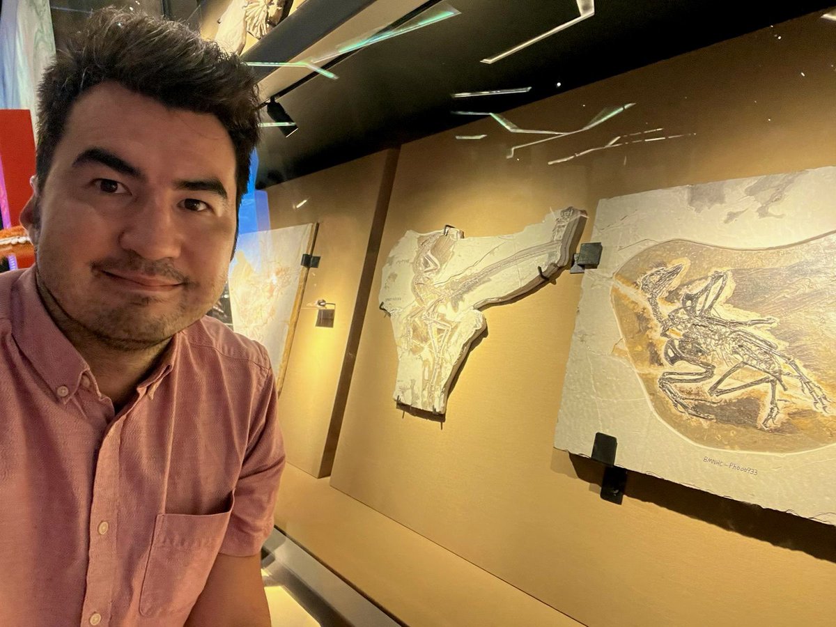 PalaeoPittman's tweet photo. Stopped by #HKScienceMuseum to study early bird & feathered dinosaur fossils before they returned to Beijing. π¦
π¦ Brought the family along π¨βπ©βπ§βπ§ #kidsatwork @CUHKScience @CUHKofficial #FossilFriday #NMNH https://t.co/HL4mo8U296