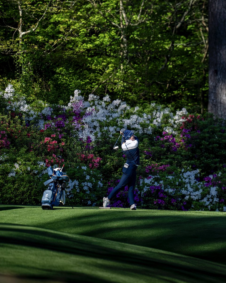 LSU Women's Golf tweet media