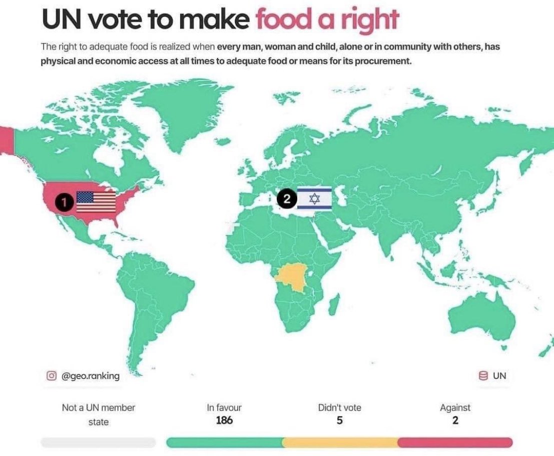 Carl Benjamin 🏴󠁧󠁢󠁥󠁮󠁧󠁿 tweet media