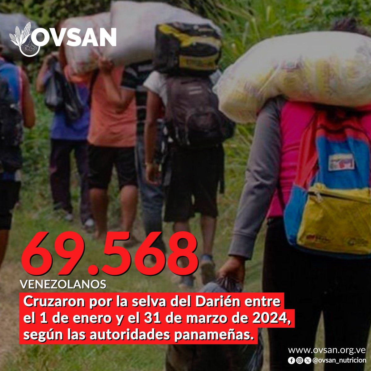 OVSAN_Nutricion's tweet photo. Más del 60 % de los 109.000 migrantes que atravesaron la peligrosa selva del Darién, frontera natural entre Panamá y Colombia, durante el primer trimestre de 2024 son venezolanos, seguidos a mucha distancia de los ecuatorianos, informó este domingo el Gobierno panameño.
#OVSAN https://t.co/qJhW5aOKl6