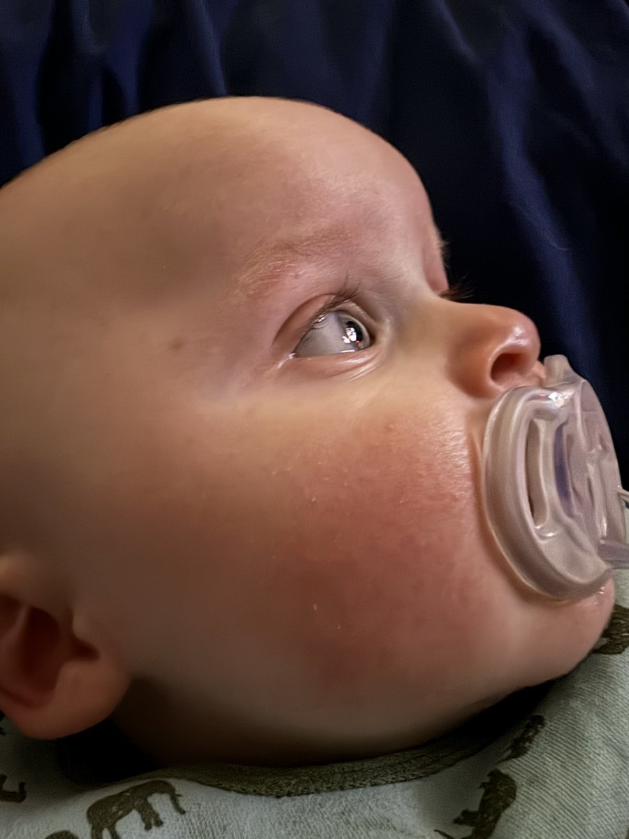 kejRN88's tweet photo. Colton watching @imbrettcooper. He’s been a fan of hers since day one and will turn his head when he hears her voice 🤣🤣 https://t.co/a2Ippl30jC