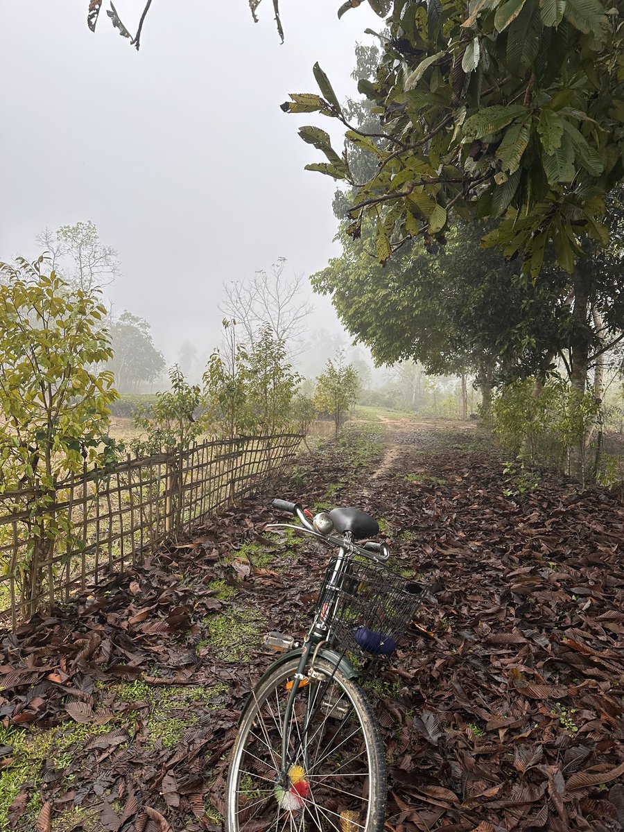 Enjoying some April Fog …. #morning #cycling