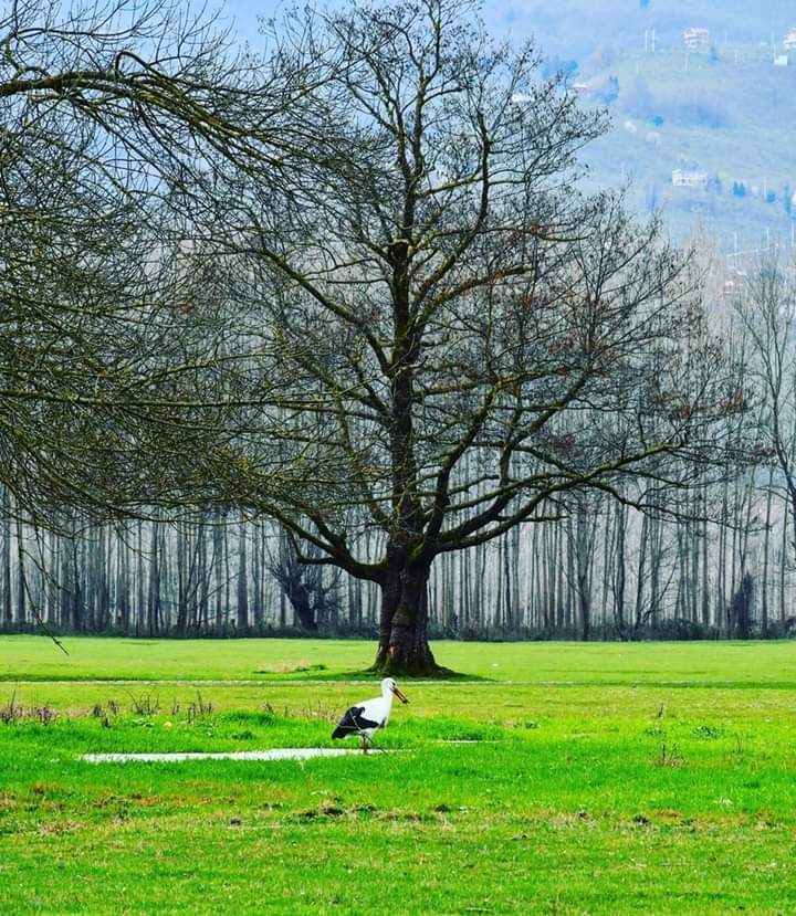 Güzel söz sıcak demir gibidir;
Vaktinde söylemezsen, 
soğur taş gibi olur !!. 

''İnsan her şeyi anlatamaz..
Zâten kelimeler de her şeyi anlatmaya 
yetmez...''
#HayırlıSabahlar 

#Sahur

🇹🇷🇹🇷🇵🇸🇹🇷🇵🇸

#FreePalestine 
#BoykotaDevam
#GazaStarving #AirDropAidForGaza
#GazzedeKatliamVar