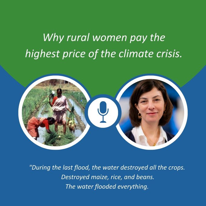 🌱💭Food for Thought: Why do rural women pay the highest price of the #climate crisis? Tune in to @FAO podcast with Deputy Director of Rural Transformation & Gender Equality to learn more. 👉🏼🎙️ bit.ly/4azt3SR @IFAD @UN_Women @UNFCCC @IPBES @planttreaty