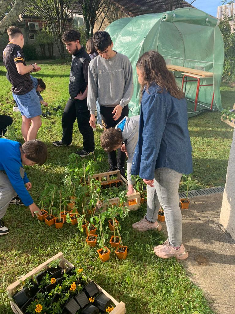 JeanRostandGers's tweet image. 📢 Nouveauté au @JeanRostandGers : le Jardi&apos;Ulis ! Mini entreprise + serre pédagogique = vente de plants à venir 🌼🍅🥒🫑 parfait pour les 🥗 cet été ! @dsden_32 @eddtoulouse @svt_tls @EPAOccitanie #liaisoncollegelycee #partenariatAdriana #parcoursAvenir #minimaiscostaud #peac