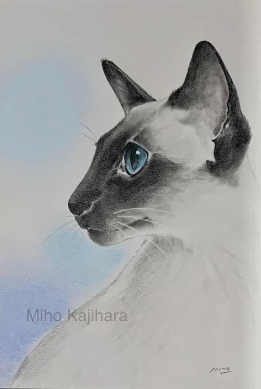 梶原美穂😸5/9-21個展「めぐる」@猫の額(高円寺) (@kajiyon) / X 梶原美穂😸5/9-21個展「めぐる」@猫の額(高円寺) (@kajiyon) / X