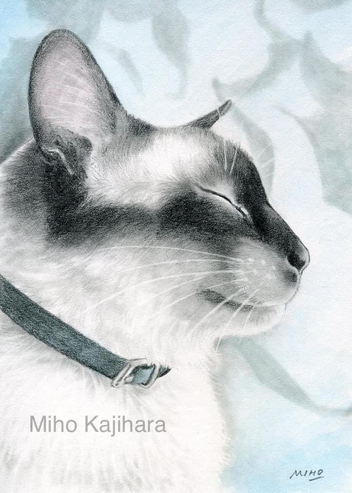 梶原美穂😸5/9-21個展「めぐる」@猫の額(高円寺) (@kajiyon) / X 梶原美穂😸5/9-21個展「めぐる」@猫の額(高円寺) (@kajiyon) / X