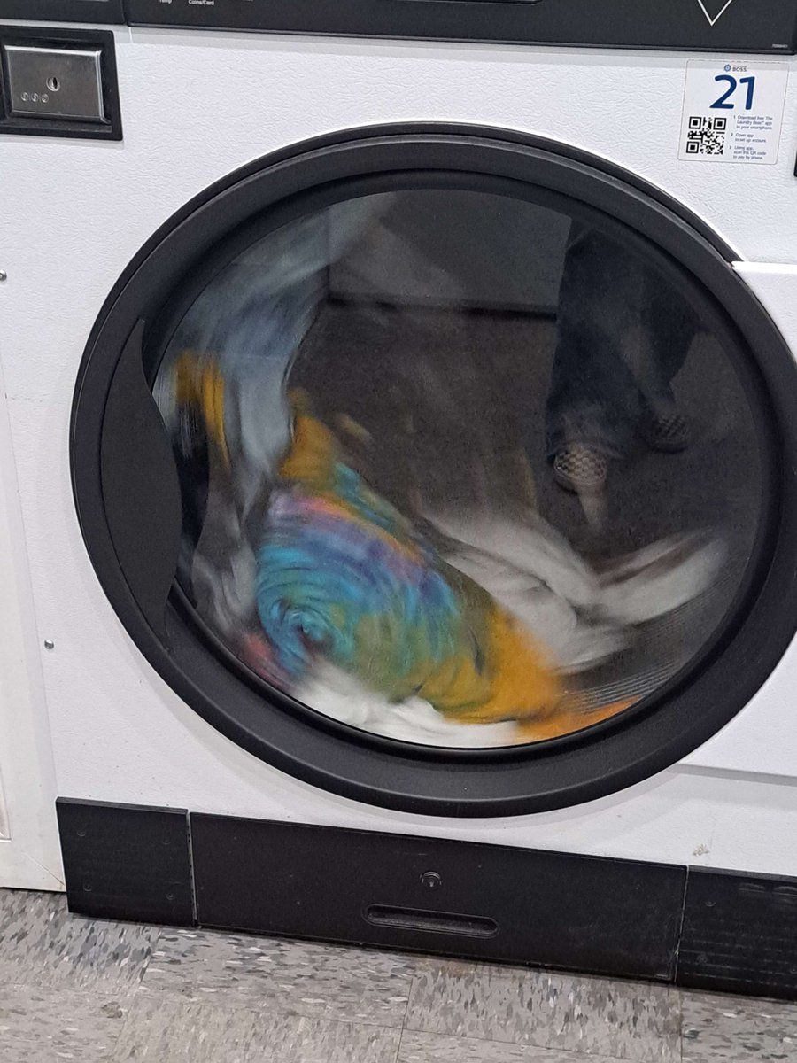 Wet Laundry tweet media