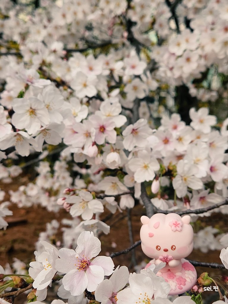 우리 제이 인생사진 🌸