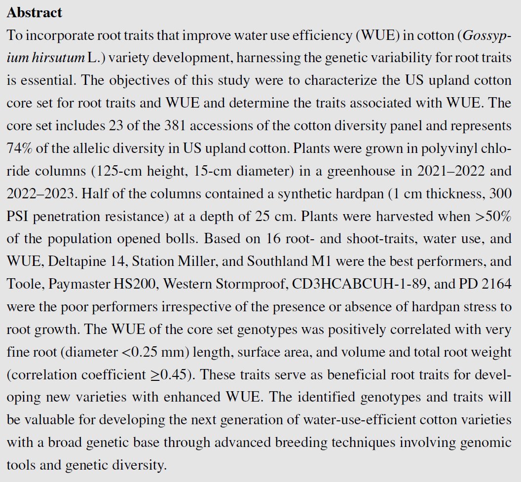 Phenotypic variability in the US upland cotton core set for root traits & water use efficiency at the late reproductive stage tinyurl.com/59sdmsss Root weight & very fine root length, surface area & volume improve water use efficiency @ClemsonUniv @NCState @USDA_ARS